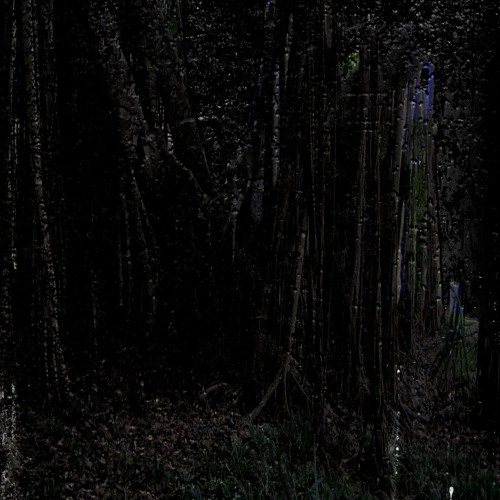 Echoes Of Darkness II