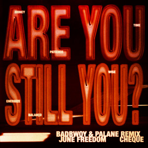 Are You Still You? (Badbwoy & Palane Extended Remix)