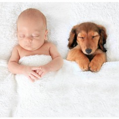 03.baby and puppy bell