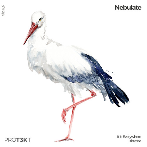 Nebulate - It Is Everywhere [Premiere]