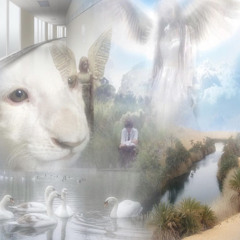 später (blu22y, methboiswag)