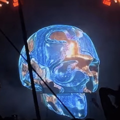 Tipper Skull Song Unreleased