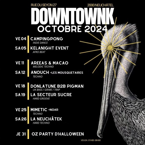 Mimetic Downtownk Oct - 25th 2024