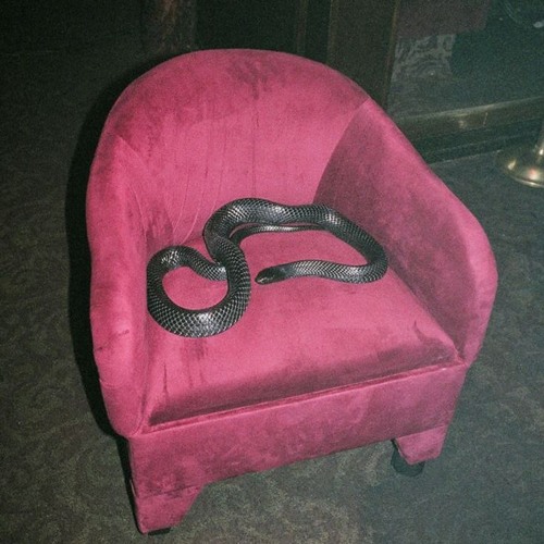 Snake (Prod. Jaechi X Leo X Curios1ty)