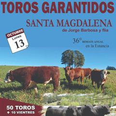 Juan Diego Barbosa - Remate Santa Magdalena