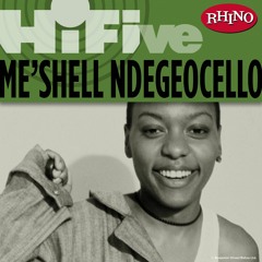 Rhino Hi-Five: Me'Shell Ndegeocello