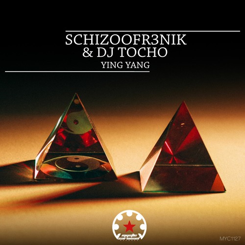 SCHIZOOFR3NIK & DJ TOCHO - Tragedy (Original Mix)