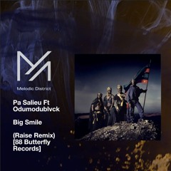 Free Download: Pa Salieu Ft Odumodublvck - Big Smile (Raise Remix) [88 Butterfly Records]