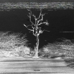 QWALITY - Obey