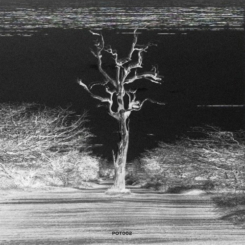 QWALITY - Obey