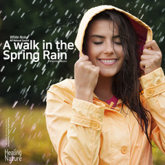 Spring Rain in the Forest(Team Malibu) (ASMR)