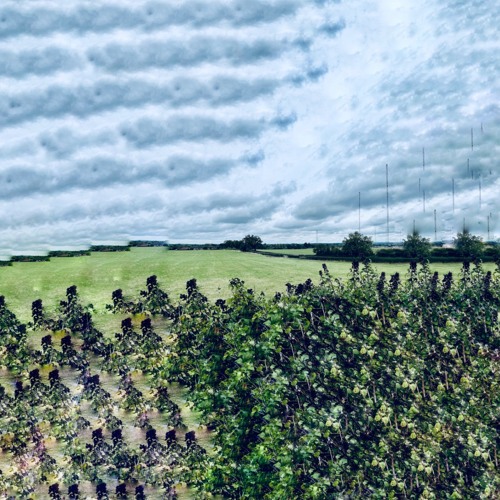 Nog Zone w/ Brian Wenner: 7th October '25