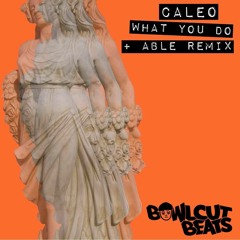PREMIERE: Caleo 'What You Do' (ABLE Remix)[Bowlcut Beats]