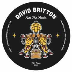 PREMIERE: David Britton - Feel The Pride [Two Pizza's Label]