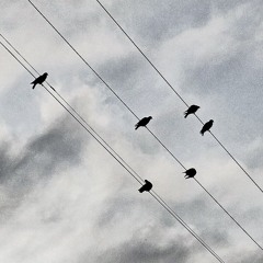 Gezer - Soul Of Tohu