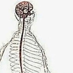 herb (prod. yung opium)