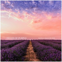 Fields of Purple