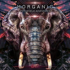 Morganic - Portal to Space and Time