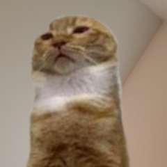 Gilbert.wav
