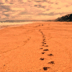 Walking On The Beach