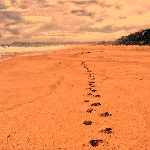 Walking On The Beach