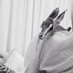 يا ام العيون الوساع اليا تبينتي