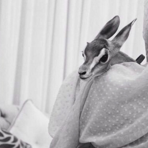 يا ام العيون الوساع اليا تبينتي