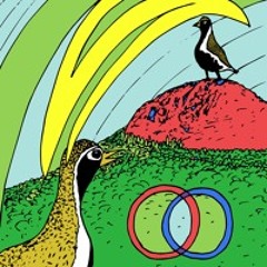 Ornithology II. Stereophonics (Collettivo 21), 2023