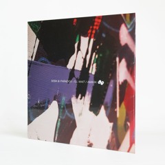 Seba & Paradox - 'I'll Wait' - (Seba & Paradox 12" 004)