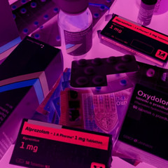 Bienen sind gefährlich