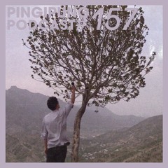 Pingipung Podcast 157: Houschyar - My washing machine caught fire that day