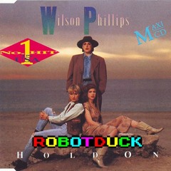 Hold On - robotduck remix