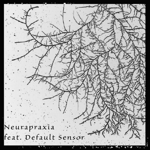 Neurapraxia (feat. Default Sensor)