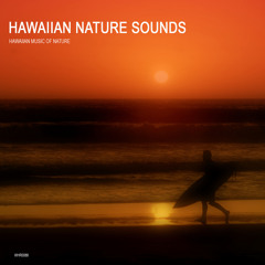Hawaii Tropical Rain for Pure Sound Thearpy (Hawaii Quiet Rolling Thunderstorm)