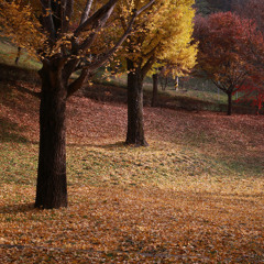 H-195 盡頭來臨之前(中文demo)Em