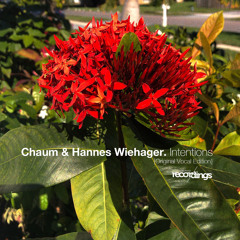 Chaum & Hannes Wiehager - Intentions {Original Vocal Edition} Stripped Recordings