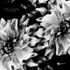 T-PREMIERE: P.U.L.S.A.R - Variable Clock Divider [DVTR107]