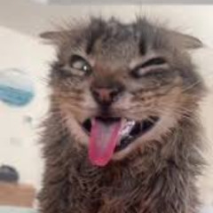 purrrrrrrrrrrrrrrrrrrrrrrrrrrrrrrrrrrrrrrrr (ewemli)