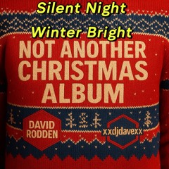Silent Night Winter Bright