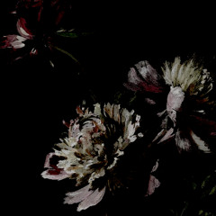 12-20-25 (harbinger)