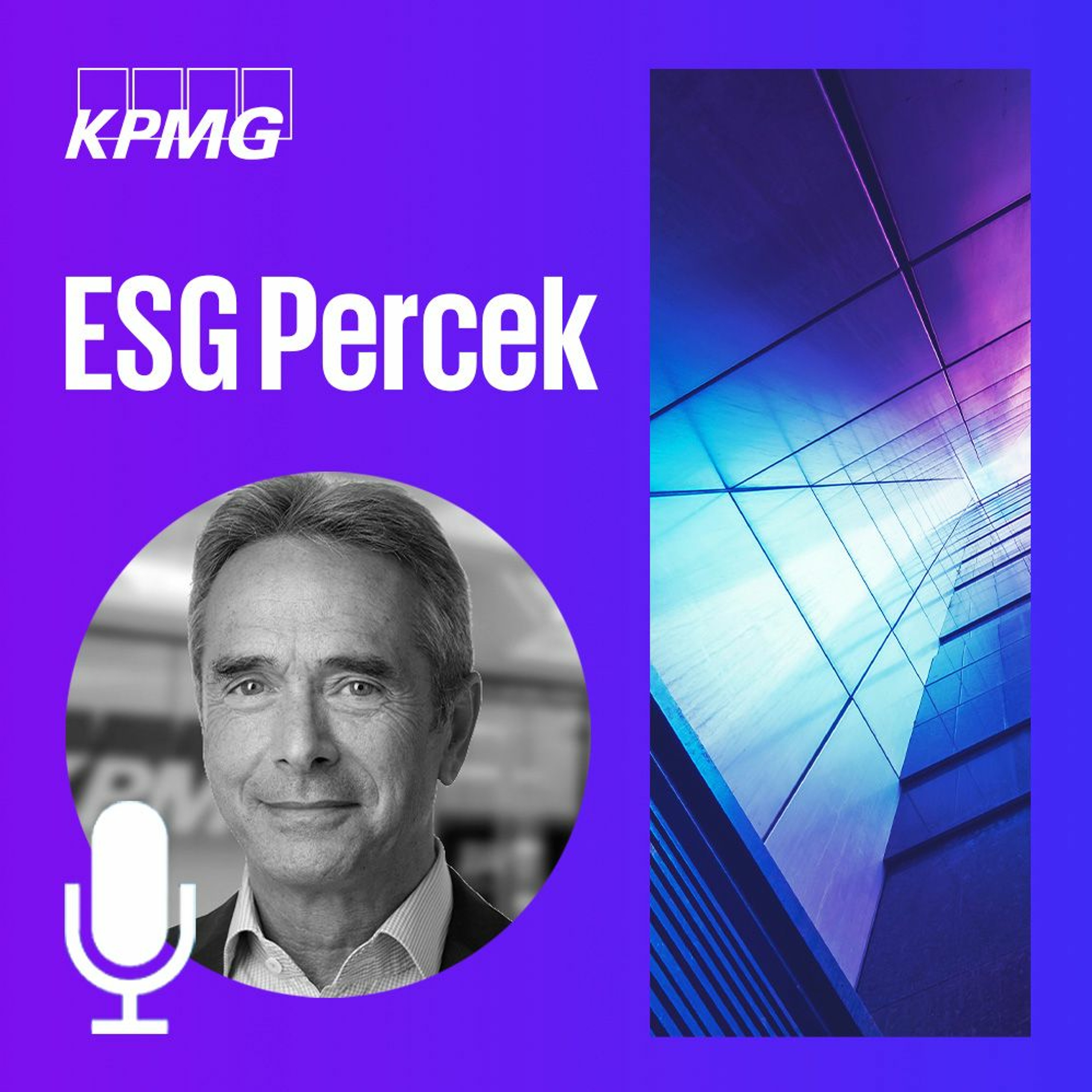 KPMG ESG Percek