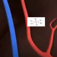 sympathetic nerve activity flip