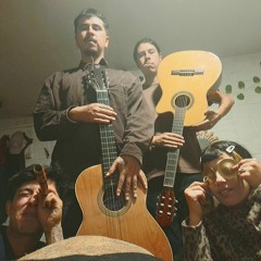 Ponle este audio a tu gato Ft Nawel, Anto,Antu