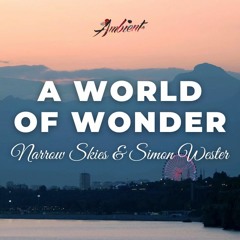 Narrow Skies & Simon Wester - A World of Wonder