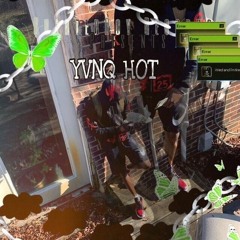 YVNQ HOT.
