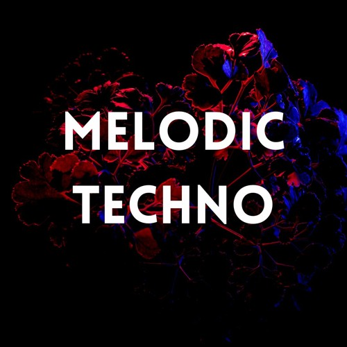 Melodic Techno mix 2024 ✖ Anyma, Solomun, Space Motion, Silver Panda, ARTBAT style (Mixed by ALLY)