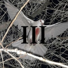 Rockstar Coupe (feat. TruLuvXo & SIG.BODIE) prod. noevdv