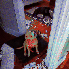 bowrye - rambunctiousness