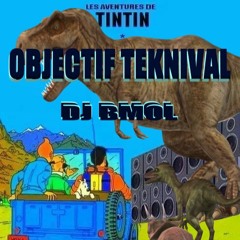 Tintin Au Teknival