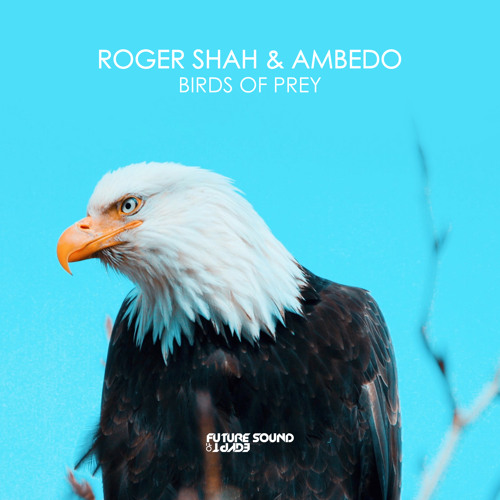 Birds of prey online free sale